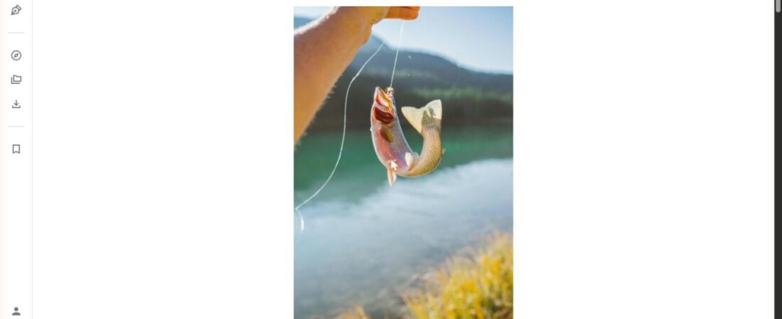 Bass Fishing for Beginners: Everything You Need to Know