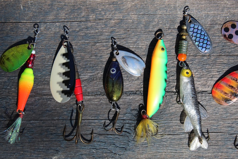 Colorful fishing lures and tackle – essential tackle box essentials