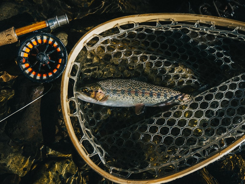 Fishing rod and reel in water spray – best picks for beginners
