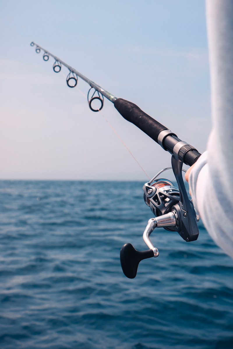 Fishing rod with line – best rods for beginner anglers
