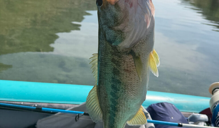 Essential Tips for Beginner Anglers
