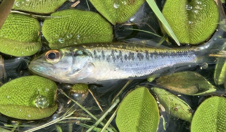 What to Expect on Your First Fishing Trip (A Beginner’s Real-World Checklist)